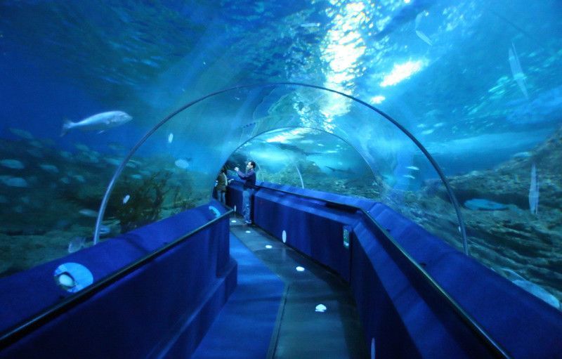 perth aquarium of western australia