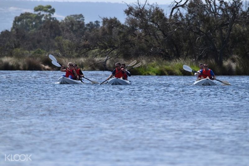 perth kayak down the canning river wetlands