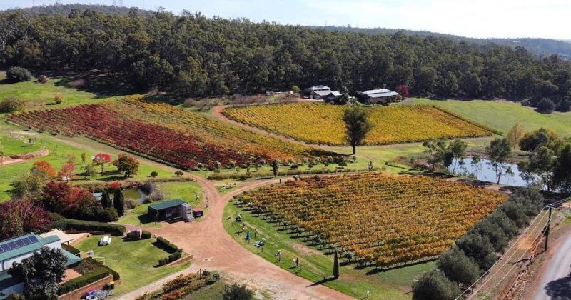 the best wineries near perth